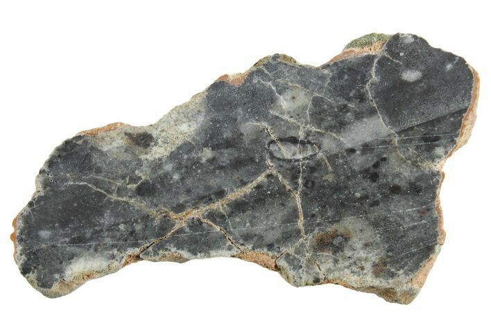 Lunar Meteorite ( g) Section - Bechar #348200